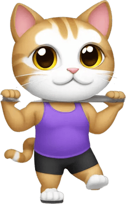 Gym Cat PNG