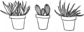 Minimalist Aesthetic Theme PNG