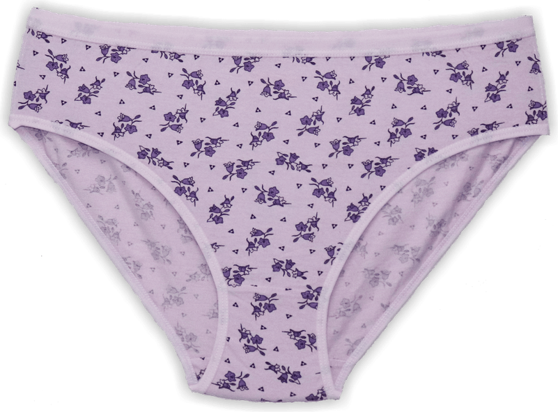 Panties PNG