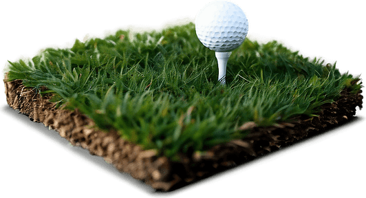 Golf Grass PNG