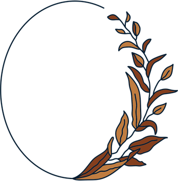 Oval Border PNG