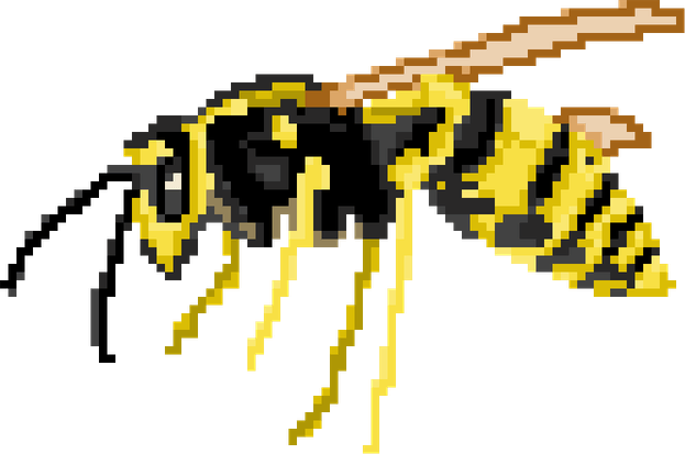 Hornet Insect PNG