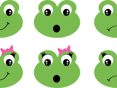 Frog Emoji PNG