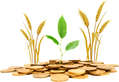 Agriculture PNG