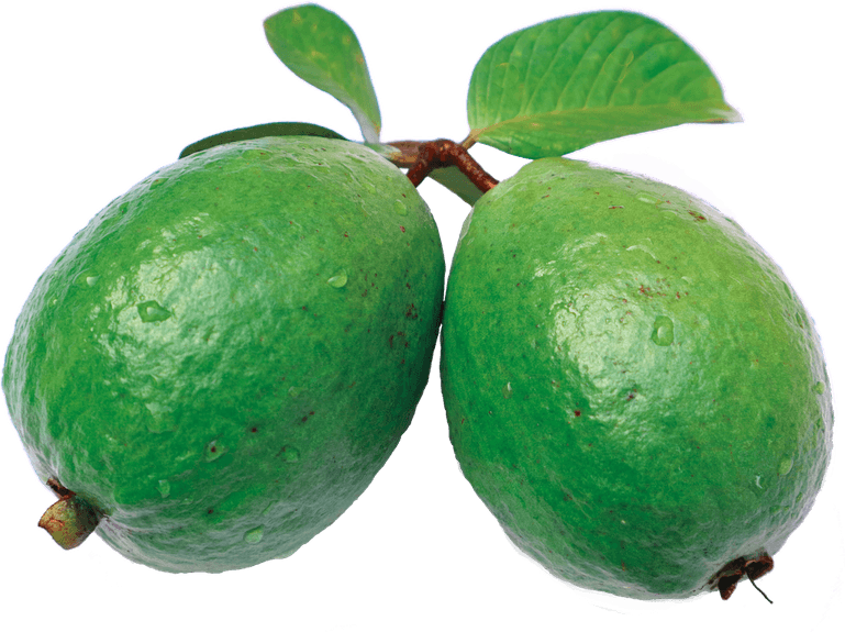 Feijoa PNG