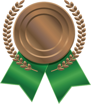 Bronze Medal PNG