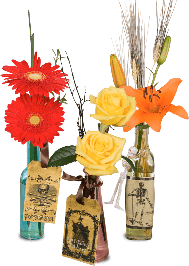 Halloween Flower PNG