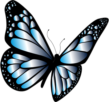 Butterfly Blue PNG