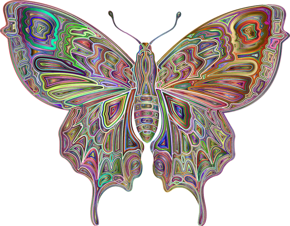 Butterfly Abstract PNG