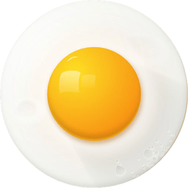 Fried Egg PNG