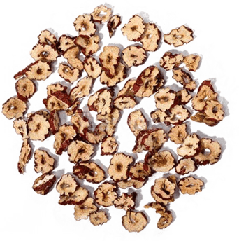 Dates PNG