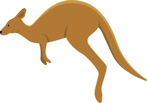 Australia Kangaroo PNG