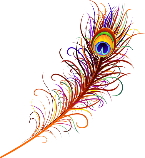Peacock Feather PNG
