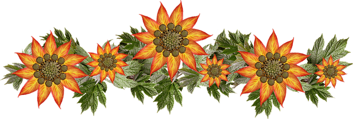 Fall Banner PNG