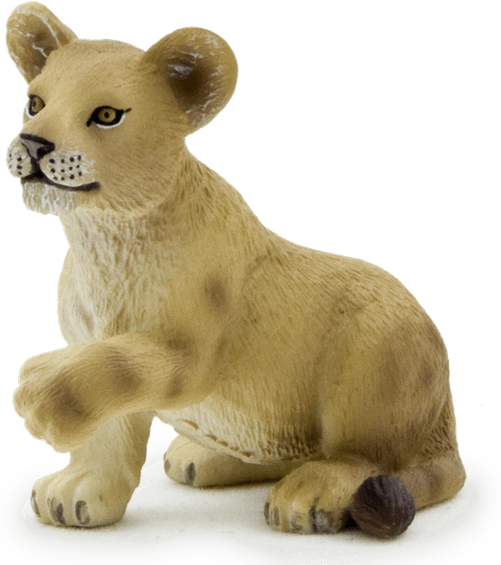 Lion Cub PNG
