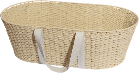 Baby Basket PNG