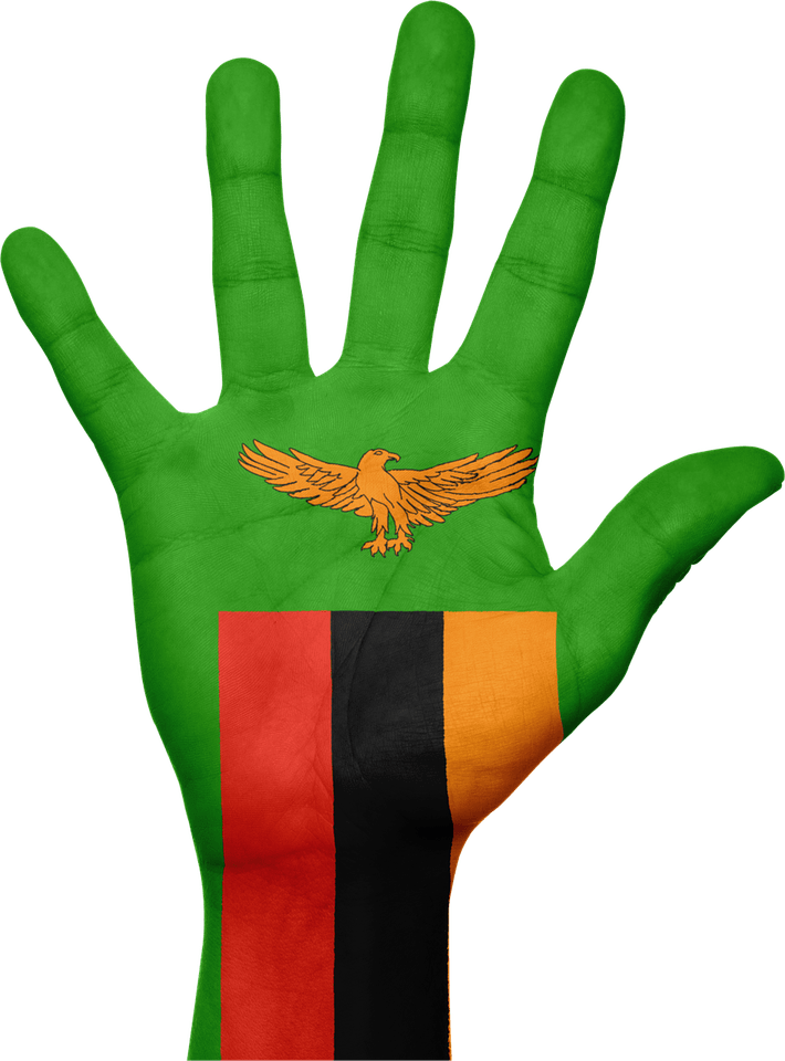 Zambia Flag PNG