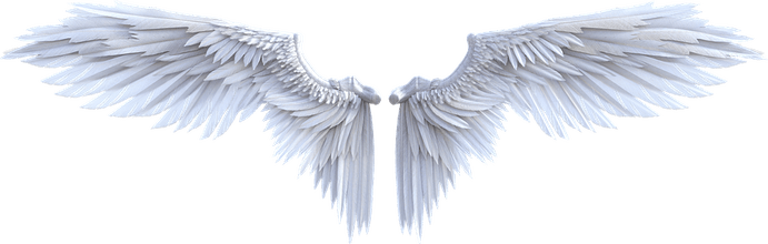 Fairy Wings PNG
