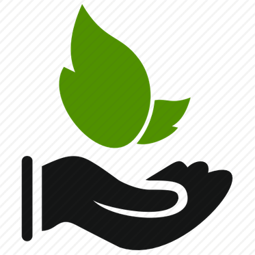 Nature PNG