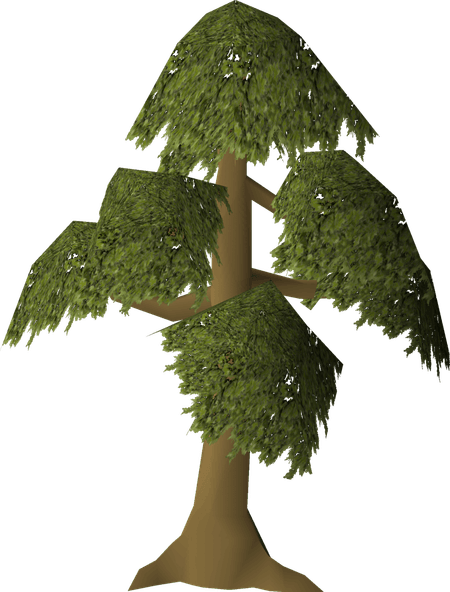 Uprooted Tree PNG