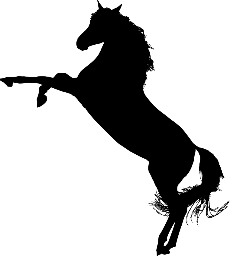 Arabian Horse PNG