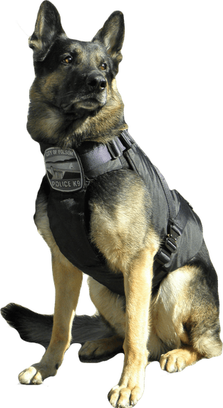 Police Dog PNG