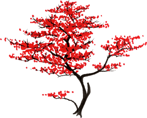 Japanese Maple Tree PNG