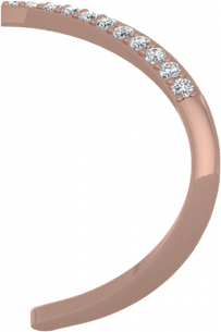 Nose Ring PNG