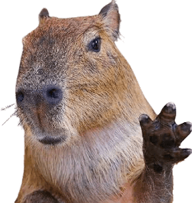 Capybara PNG