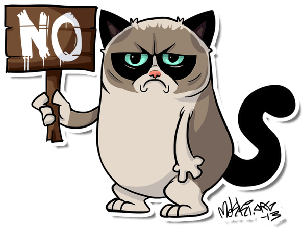 Sad Cat Meme PNG