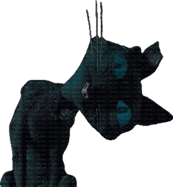 Coraline Cat PNG