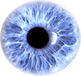 Eyes PNG