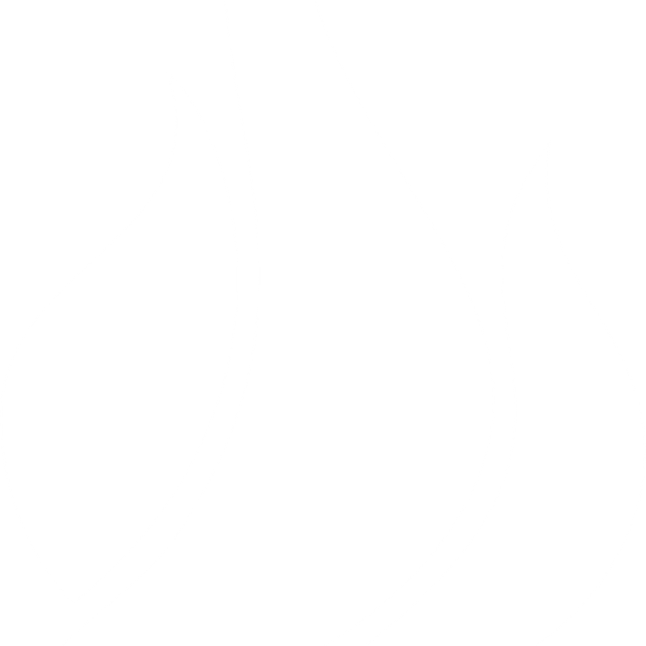 Holy Spirit Fire Dove PNG