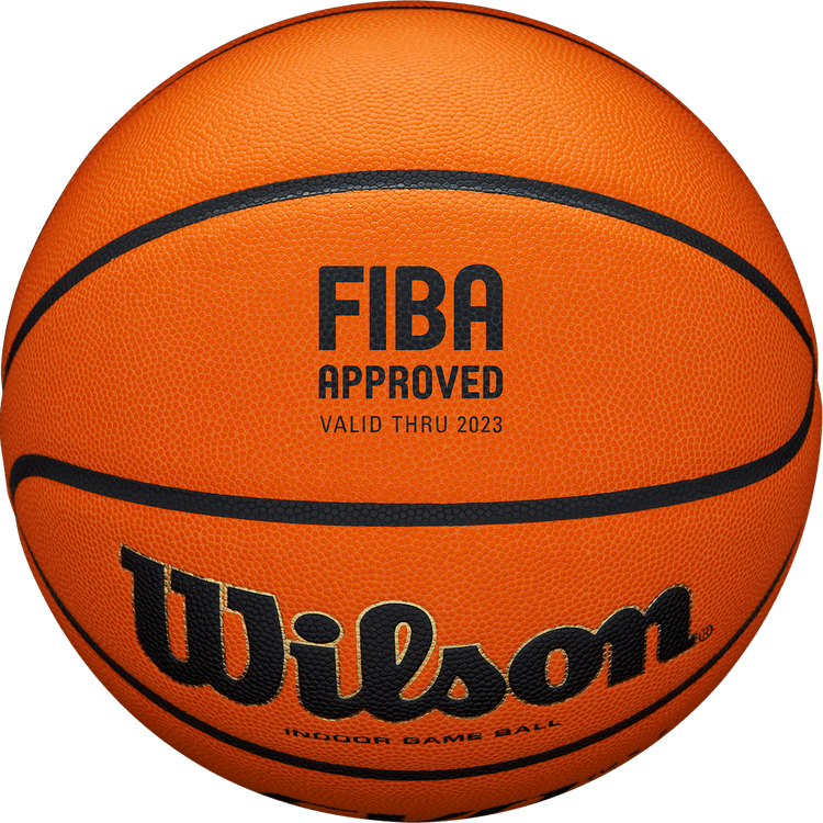 Wilson Evolution Basketball PNG