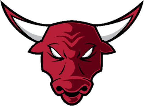Chicago Bulls Logo PNG