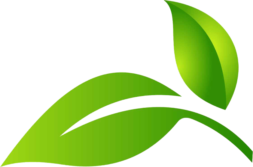 Green Leaf PNG