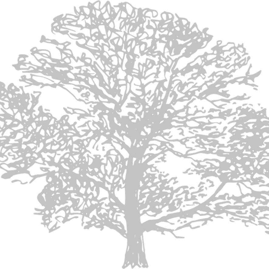 Tree Earth PNG