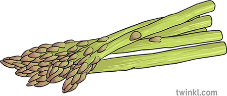 Asparagus PNG