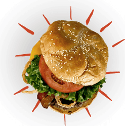 Burger Top View PNG