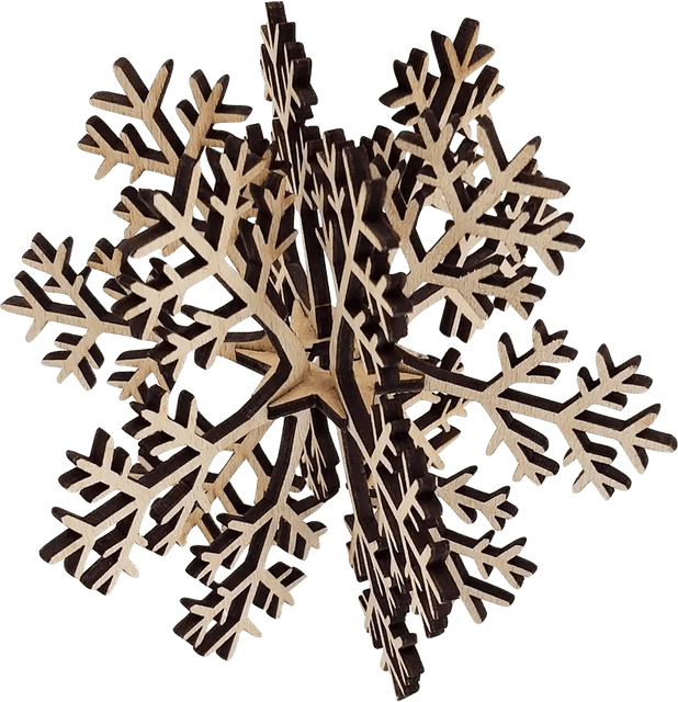 Snow Star PNG