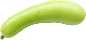 Bottle Gourd PNG