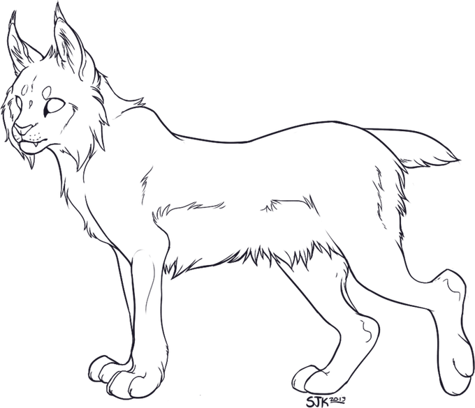 Bobcats PNG