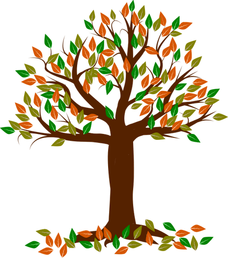 Fall Tree PNG