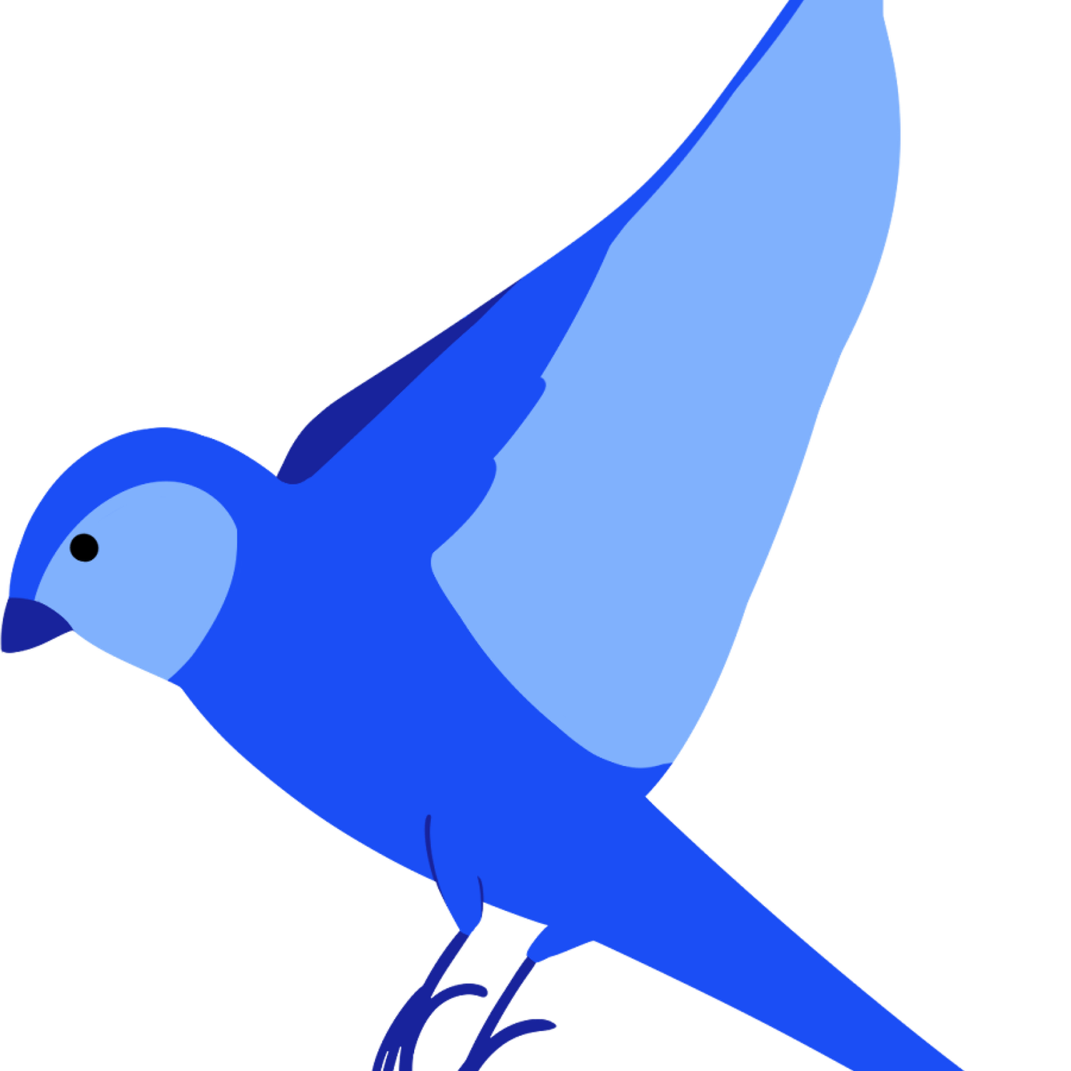 Dark Bird PNG