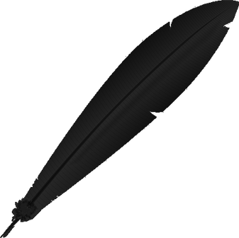 Black Feathers PNG