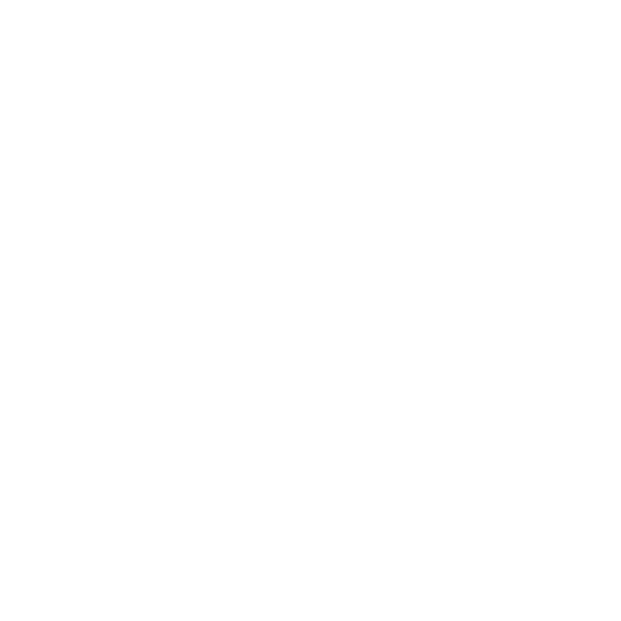 Casamigos PNG