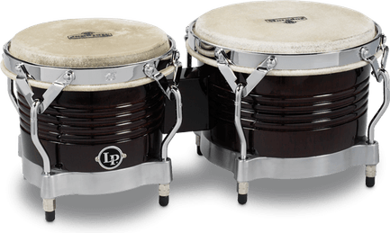 Bongo PNG
