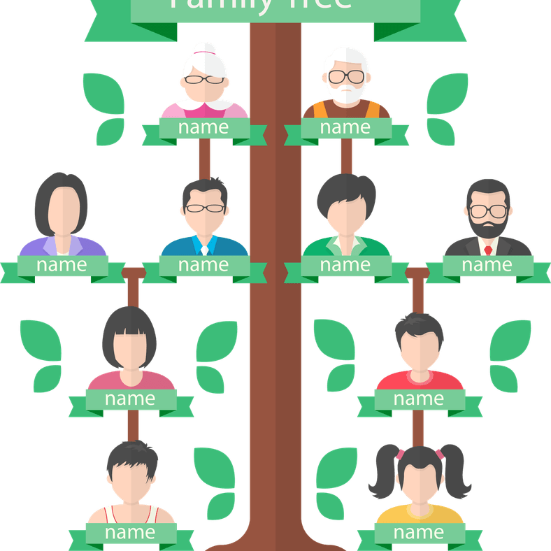 Family Tree PNG