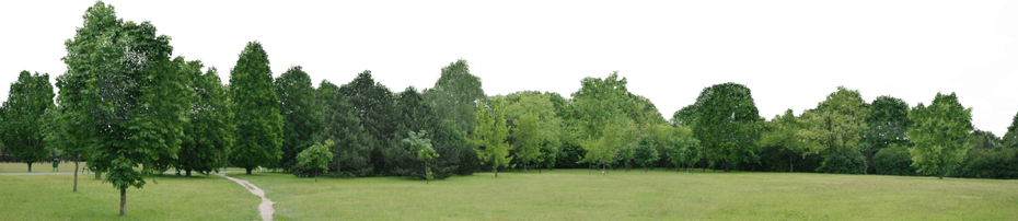 Landscape PNG