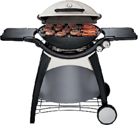 Grilling PNG